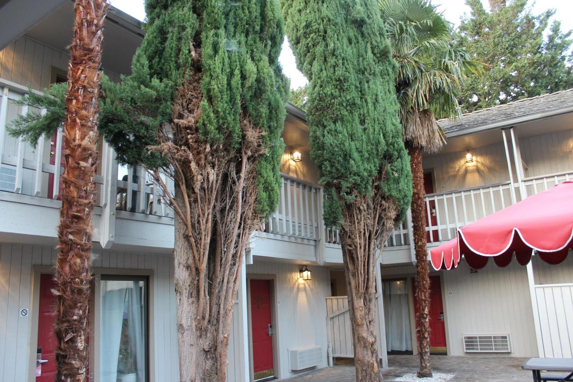 Cedarwood Inn Of Ashland Dış mekan fotoğraf